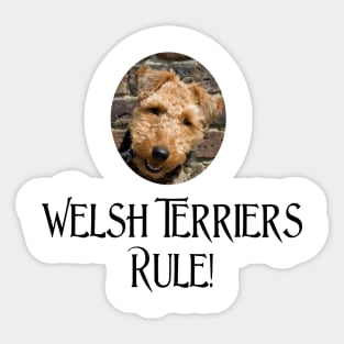 Welsh Terriers Rule! Sticker